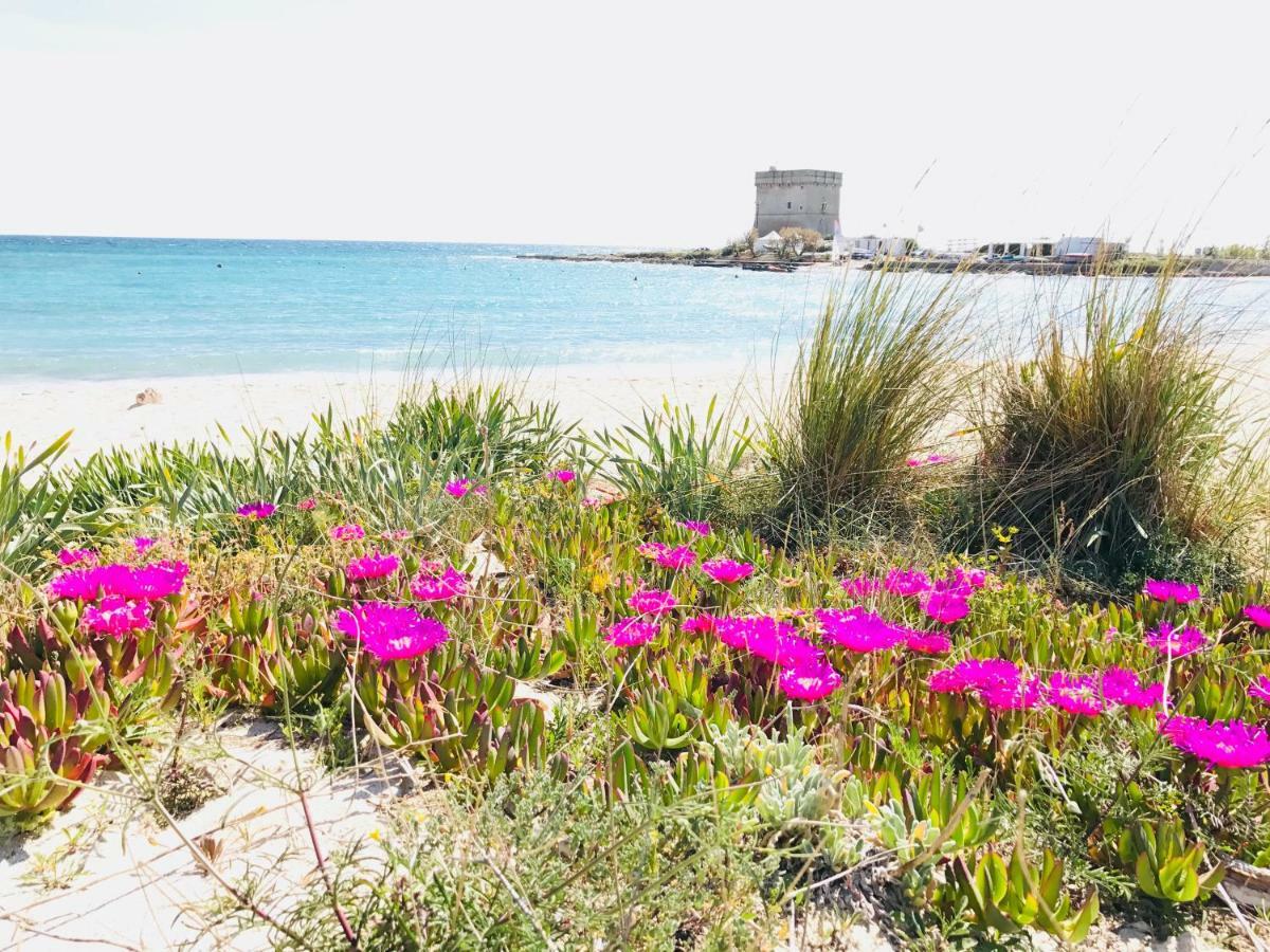 Casa Vacanze Dei Bacini Porto Cesareo Exterior photo